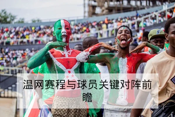中超赛季中段积分榜与保级形势动态查询