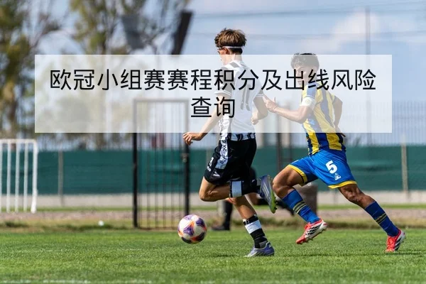 中超赛季中段积分榜与保级形势动态查询