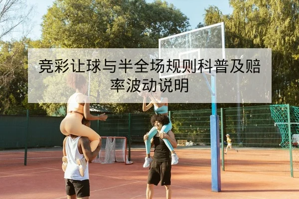 中超赛季中段积分榜与保级形势动态查询